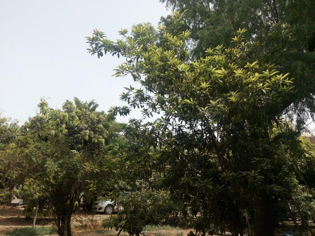 Nature Trail Camps & Homestay Jodhpur  Eksteriør billede