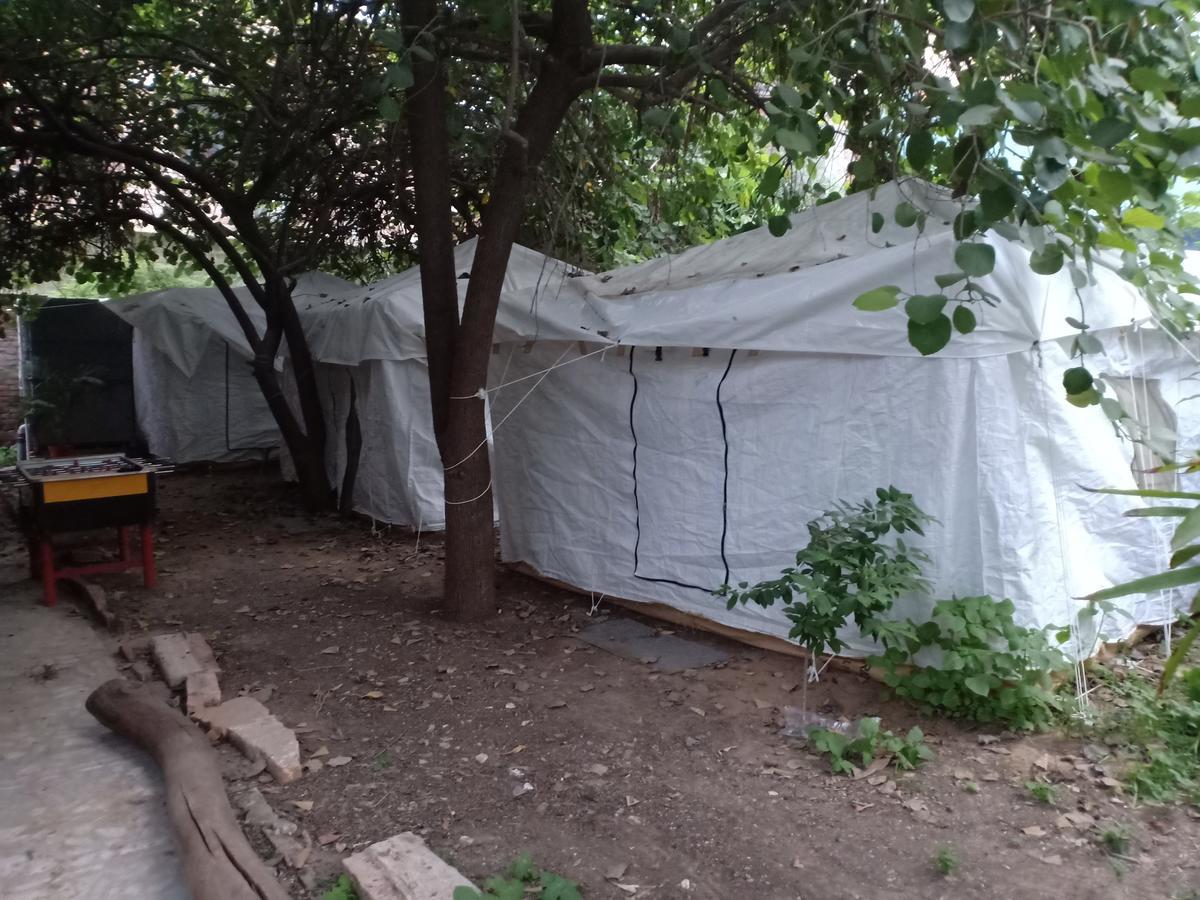 Nature Trail Camps & Homestay Jodhpur  Eksteriør billede