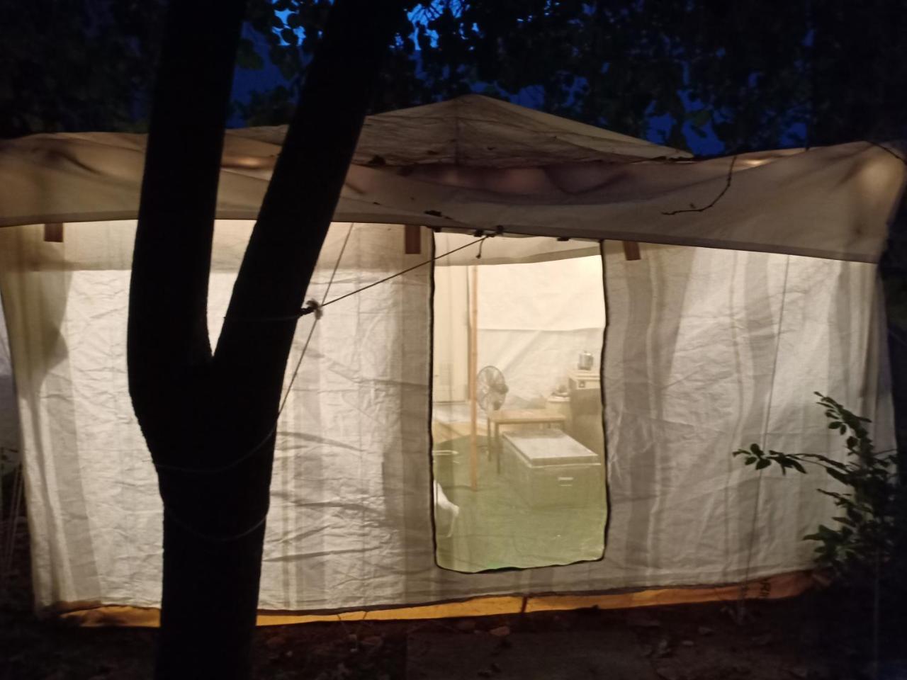 Nature Trail Camps & Homestay Jodhpur  Eksteriør billede