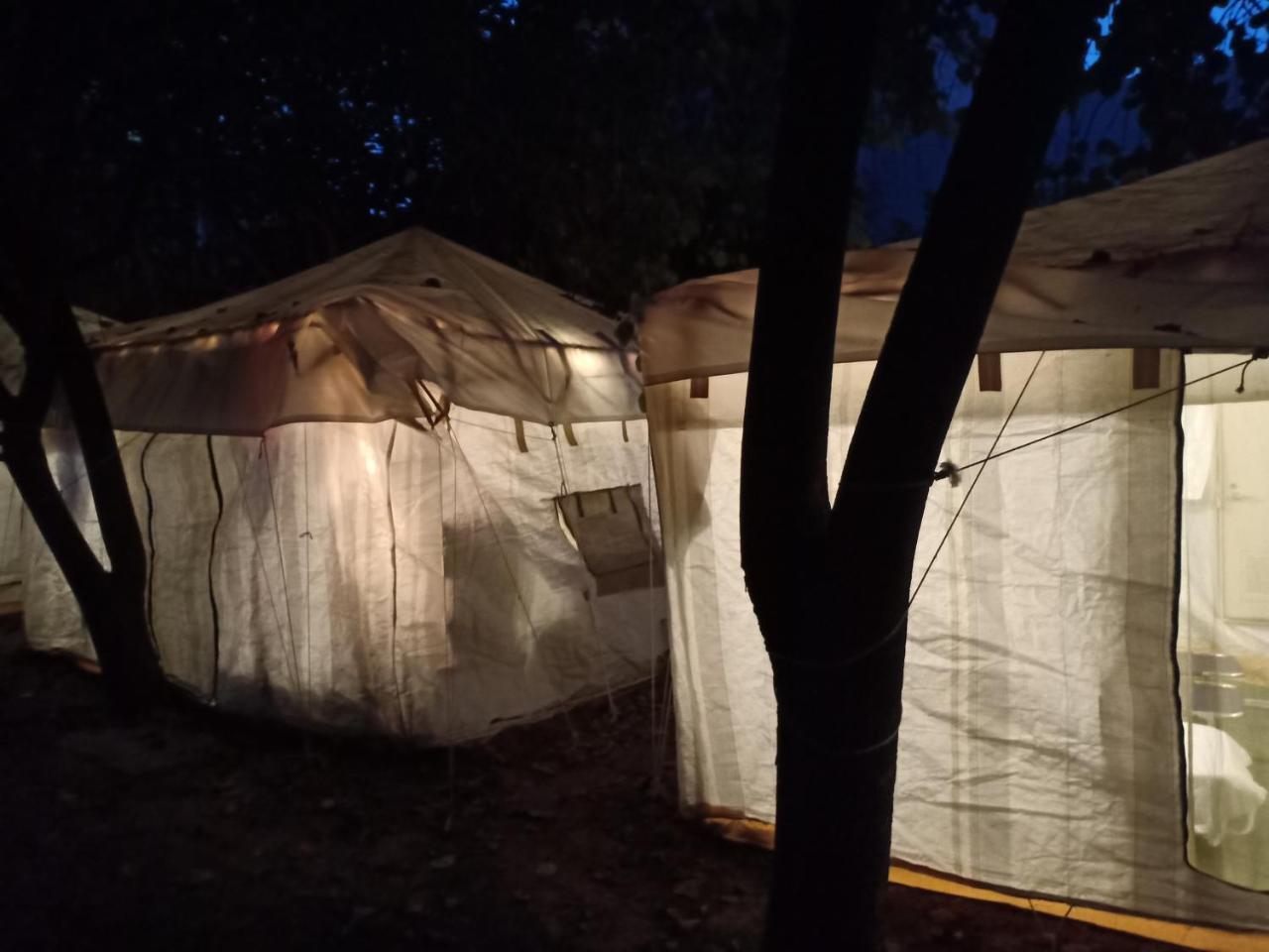 Nature Trail Camps & Homestay Jodhpur  Eksteriør billede