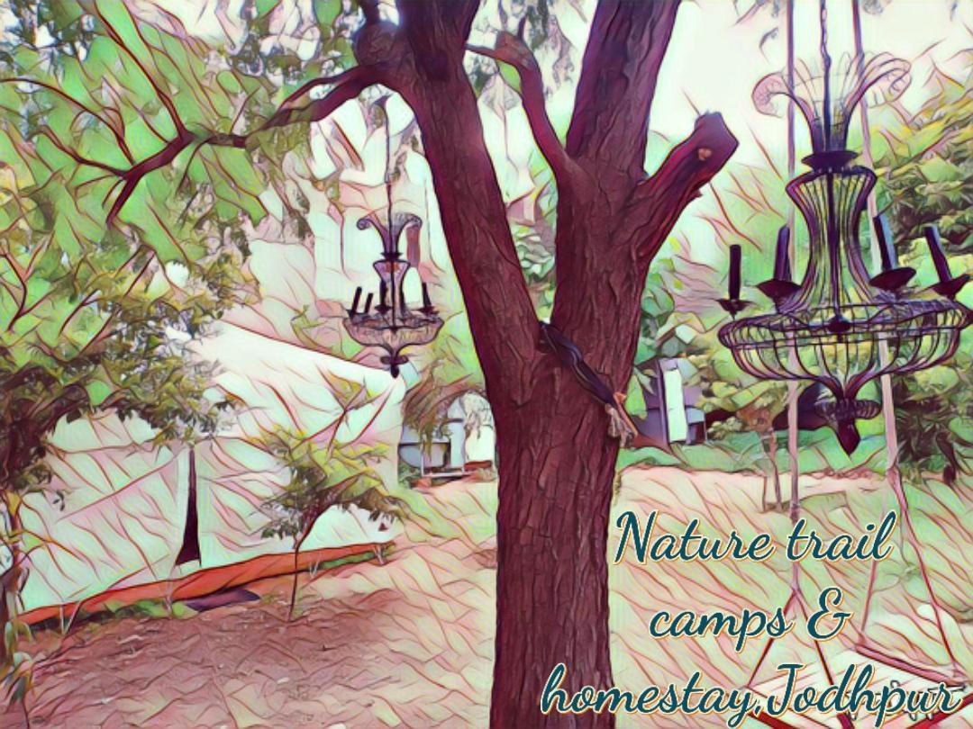 Nature Trail Camps & Homestay Jodhpur  Eksteriør billede