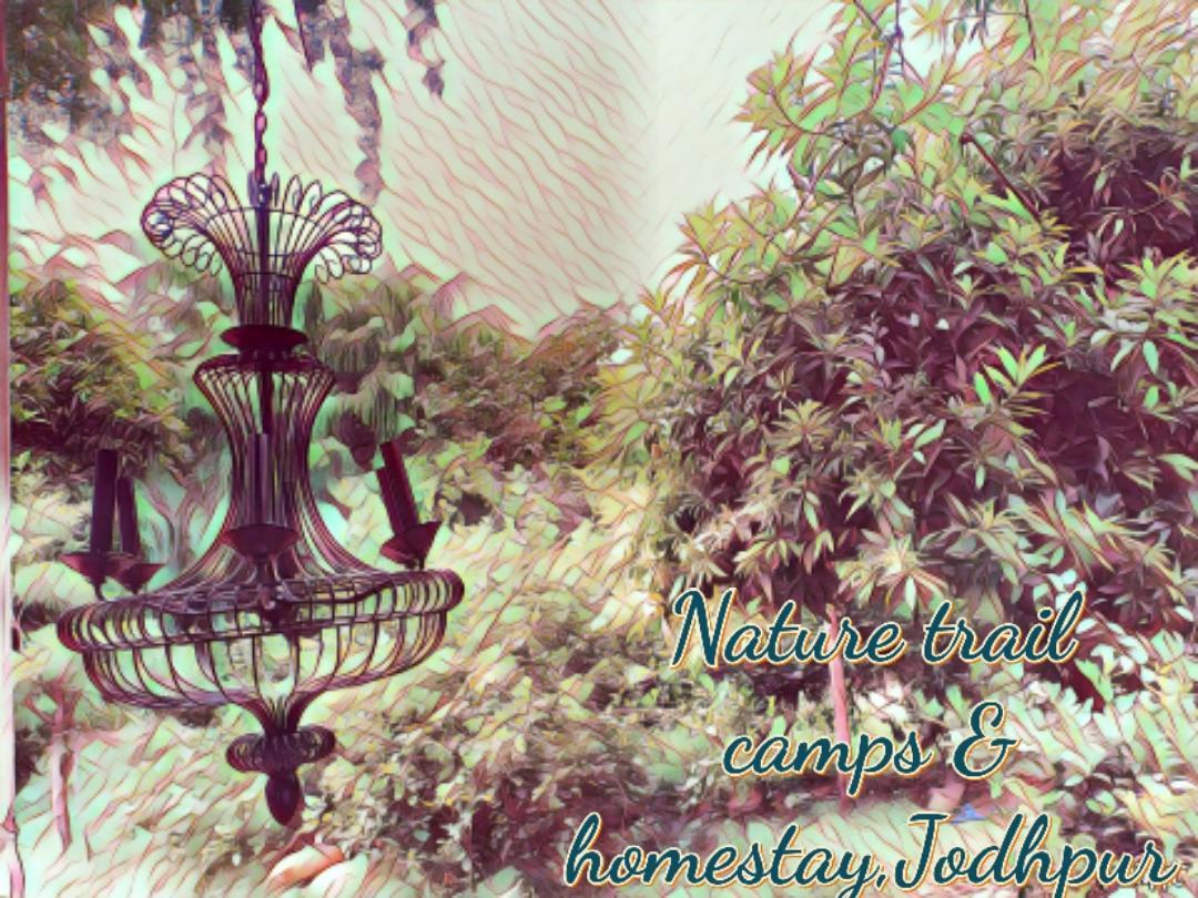 Nature Trail Camps & Homestay Jodhpur  Eksteriør billede
